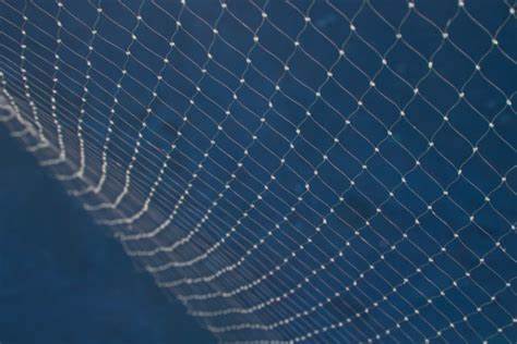 攔魚網要用不銹鋼繩網