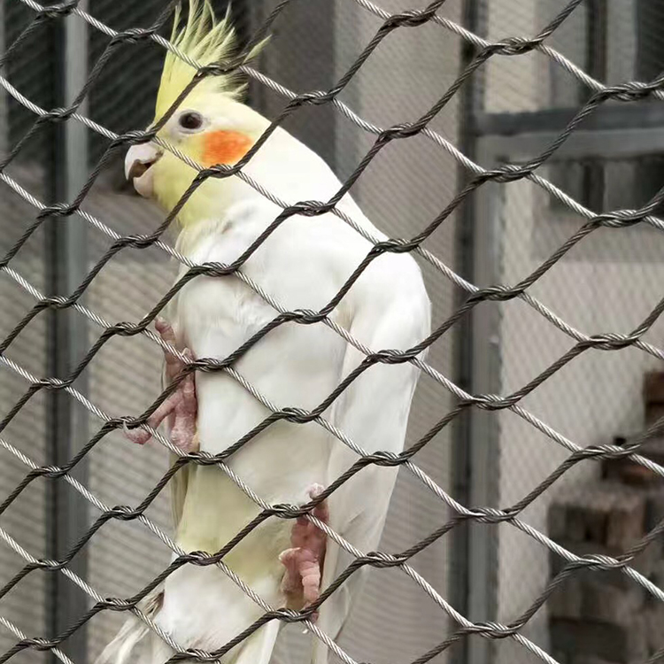 不銹鋼百鳥園網的性能優點